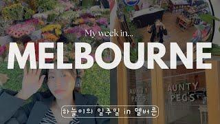 One-Month in Australia  Ep.05 - Travel alone for a week in my dream destination Melbourne 