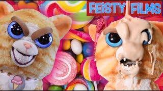 Princess Pottymouth’s Sugar Compilation Vol. 1 Feisty Cats Rule