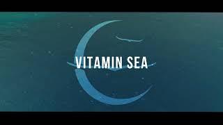 Owl City - Vitamin Sea Official Lyric Video #music #Officialvideo