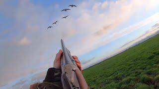 Goose hunting - Doublet