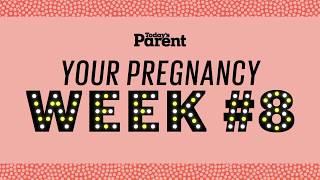 Your pregnancy 8 weeks