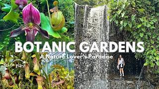 Exploring Singapore Botanic Gardens  Must Visit Spots and Cafe  A Nature Lovers Paradise