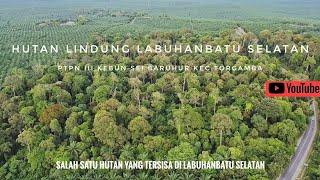 LABUSEL Melintasi Hutan Lindung Kebun Sei Baruhur Kec Torgamba