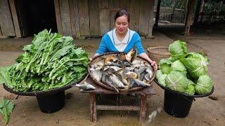 265 Days Harvest Fish Vegetables Sweet Potato - Build Bamboo House Cooking Farm  Lý Thị Ca