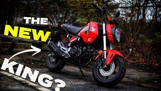 New Honda Grom 125 Review  Better than the Monkey Dax & Super Cub Motorcycles?
