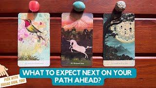 What To Expect Next On Your Path Ahead?  Timeless Reading