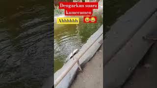 Ahhh..‼️suara kameramen bikin anu. #mancing #mancingmania #ai #cakracikri