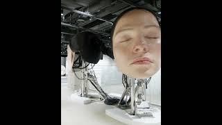 Large kinetic heads  #curation #art #kineticart #curator #interactiveart