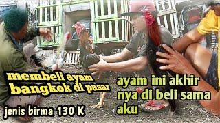 membeli ayam bangkok di pasar