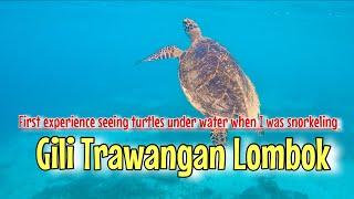 Snorkeling Gili Trawangan First time seen big turtles  underwater #gilitrawangan #snorkeling