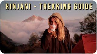 Turis Jerman mendaki gunung berapi Rinjani dan tidak percaya • Vlog INDONESIA#59