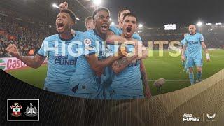 Southampton 1 Newcastle United 2  Premier League Highlights