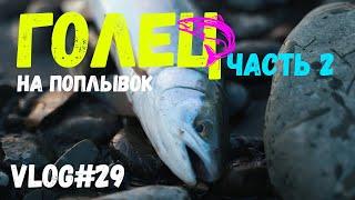 ВЕСЕННИЙ ГОЛЕЦ  Часть 2