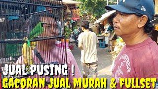 APA GAK KEPINGIN  BURUNG2 GACORAN RAWATAN DI JUAL MURAH & FULLSET LAGI