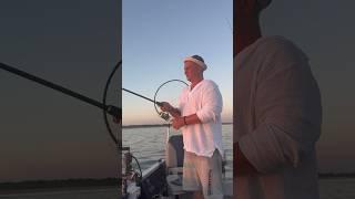 Уловы Нижней Волги Астраханская обл #fishing#рыбалка