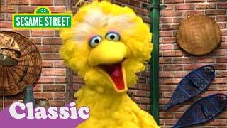 Im No Aardvark Song with Big Bird  Sesame Street Classic