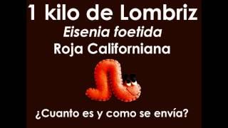 Cuanto es un Kilo de Lombriz Roja Californiana y como se envía