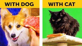 LIFE WITH DOG VS LIFE WITH CAT. Corgi life  Relatable facts by 5-Minute FUN