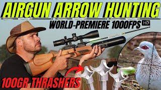 AIR GUN HUNTING WITH ARROWS I FX CROWN ARROW HUNTING I FX AIR RIFLE ARROW BARREL KIT