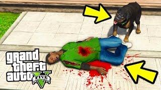 МОЖЕТ ЛИ ЧОП УБИТЬ ИЛИ АТАКОВАТЬ ЛАМАРА?  ЧТО ОН ДЕЛАЕТ? GTA 5