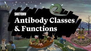 Antibody Classes & Their Functions in Immunity Part 1   Sketchy Medical  USMLE Step 1