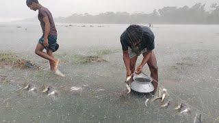 জ্যৈষ্ঠ মাসের বজ্রপাত ও ঘন বৃষ্টির মধ্যে উজানো মাছ শিকার।। Village Fishing in Havvy Rainy Day