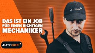 Das ist ein Job für einen richtigen Mechaniker  #autodoc #autohack