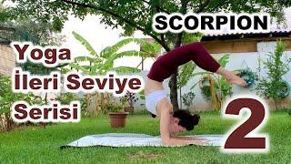 Yoga İleri Seviye Serisi – 2  Scorpion Vrischikasana Nasıl Yapılır?  Ayşe Kaya İle Yoga