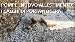 Pompei i calchi di Porta Nocera visibili al pubblico in un nuovo allestimento