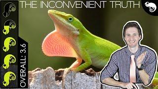 Green Anole The Best Pet Lizard?