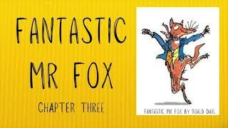 Fantastic Mr Fox by Roald Dahl  Read aloud full audiobook story kids
