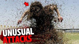 The Most BIZARRE Animal Attacks on Humans MARATHON