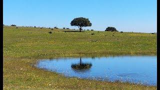 Alentejo Portugal best kept SECRET