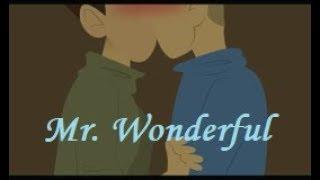 Wild Kratts - Mr. Wonderful Martin&Chris