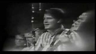 Beach Boys - Surfin USA & Surfer Girl - Live