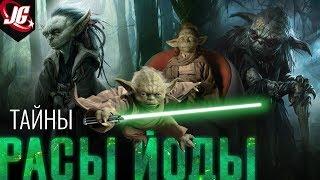 ВСЁ О РАСЕ ЙОДЫ  САМАЯ ЗАГАДОЧНАЯ РАСА STAR WARS