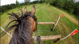 Helmet Cam Riot Gear 2021 Area III Intermediate Horse Championships