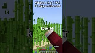 Minecraft Sunucumdaki Yeni Mimara Yardım Ettim? 