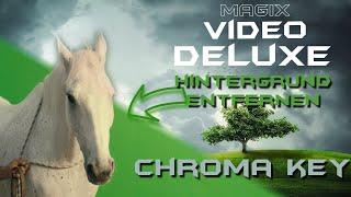 Chroma Key Hintergrund entfernen MAGIX VIDEO DELUXE tutorial deutsch
