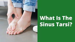 What Is The Sinus Tarsi?