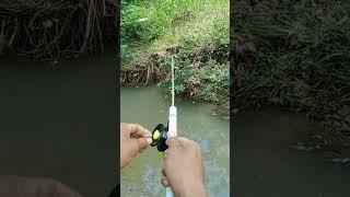 mancing wader dengan joran buatan sendiri