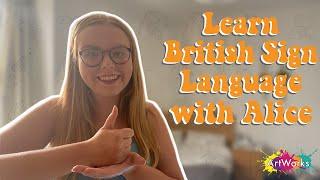 Basic British Sign Language  Learn BSL with Alice  ARTWORKS
