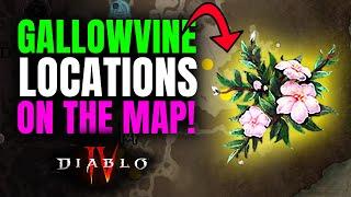 How to get GALLOWVINE in Diablo 4? - Map Locations in Fractured Peaks