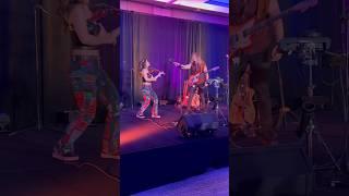 Electric violin and electric guitar trading twos  #namm #shorts