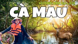 HƯỚNG DẪN DU LỊCH CÀ MAU 2024  Review Rừng Quốc Gia U MINH HẠ  Mũi Cà Mau  Ca Mau tourism