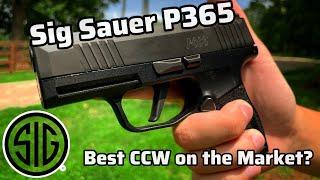 Sig P365 - Review King of Conceal Carry?