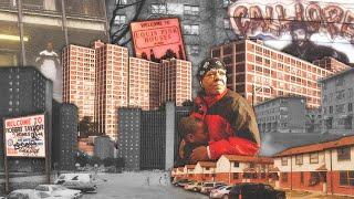 Most Infamous Public Housing Projects in American History Documentary Crime  Hoods