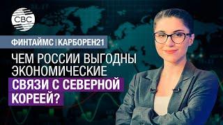 Как агросектор предотвратит проблемы с экологией в Азербайджане?