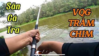 Vượt Hơn 100 Cây Số Săn Hugo  Câu Cá Tra Tại VQG Tràm Chim - Đồng Tháp  Tân CT Fishing.