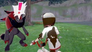 How to catch Zoroark & Zorua - 100% Spawn location - Isle of Armor Pokemon Sword and Shield